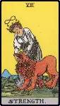 Playing card