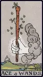 Playing card